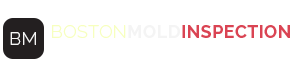 Boston Mold Test